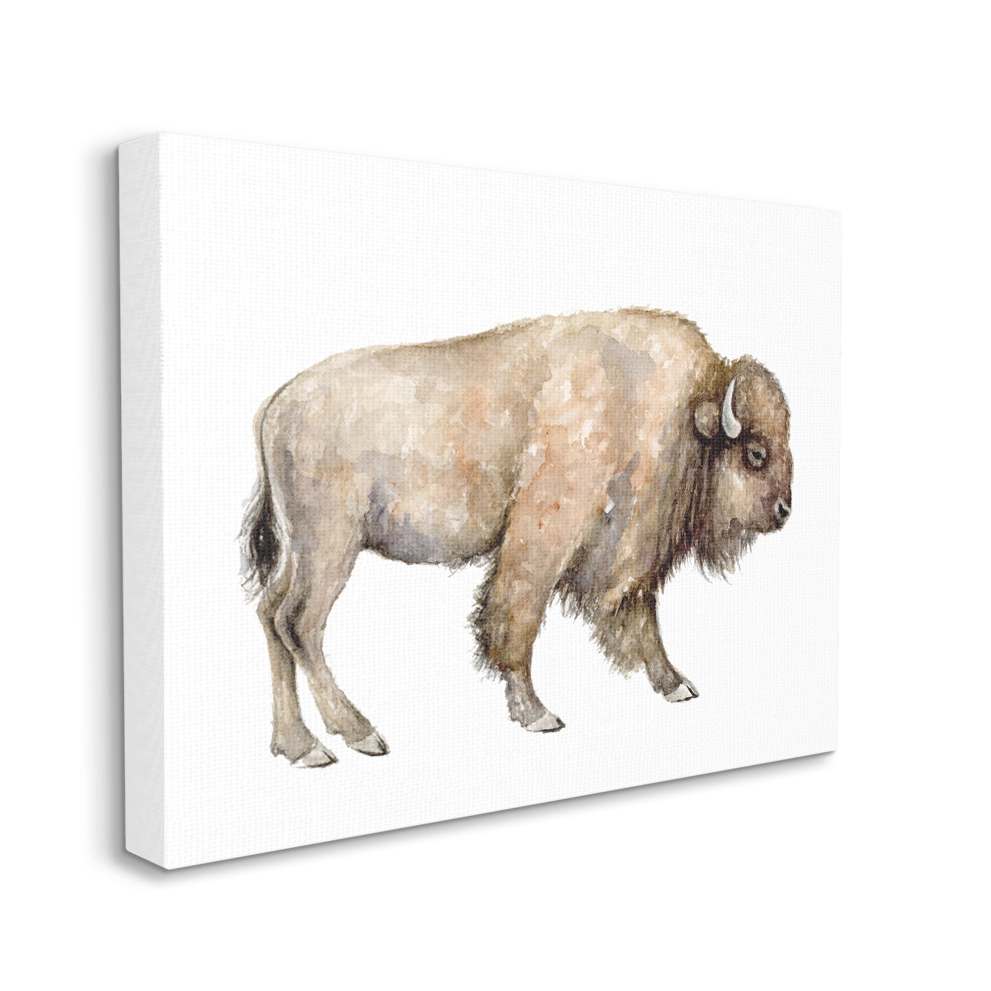 Stupell Industries Wild Buffalo Watercolor Portrait Children's Nursery Wildlife, 20 x 16,Design by Fox Hollow Studios