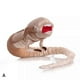 thumbnail image 4 of New Alien Toy Facehugger Chestburster Stuffed Figure Plush Soft Festival Gift, 4 of 5