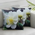 thumbnail image 2 of Nawypu  Throw Pillow Cover 2pcs - Begonias Flowers White Bright Begonia Eyes of God 12x12in, 2 of 6