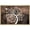 NATURAL, variant on wall26 Framed Canvas Print Wall Art Wood Panel Forest Tree Silhouette Bird Nature Wilderness Illustrations Modern Art Rustic Decorative Relax/Calm for Living Room, Bedroom, Office - 24"x36"