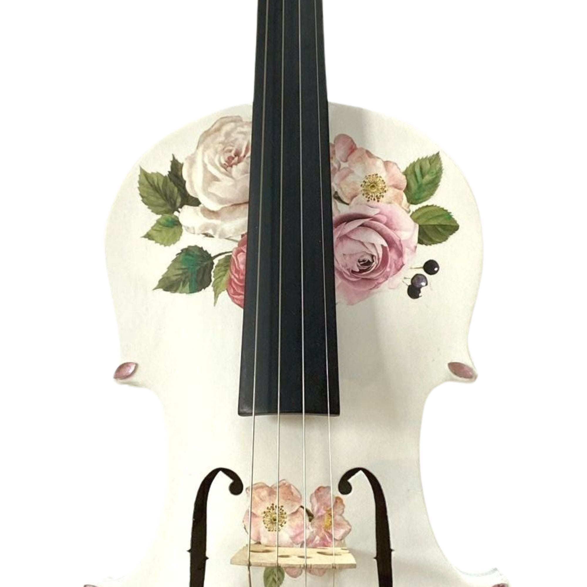 Rozanna's Violins Rose Delight Violin Outfit With Carbon Fiber Bow 4/4