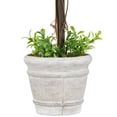 thumbnail image 5 of Northlight 17" Round Boxwood Topiary Artificial Potted Tree - Green/Gray, 5 of 6