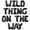 Black, variant on Letter Balloons - WILD THING ON THE WAY 16" Inch Alphabet Letters Foil Mylar Balloon Baby Shower Party Banner (Purple)