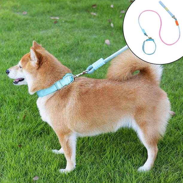 RKSTN Nylon P Et Leash Pet Leash Blue