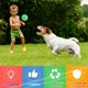 thumbnail image 3 of Bola de perro iluminada nocturna, bola interactiva para perro, juguete para recuperar perros, bola de ejercicio chirriante para perro, mascota, cachorro, juego de persecución JAMW Sencillez, 3 of 5