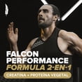 thumbnail image 4 of Falcon Performance Proteína Vegetal Creatina 1.9 Kg Vainilla Birdman BIRDMANPERFOVAINILLA, 4 of 6