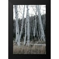 thumbnail image 2 of Head, Danny 17x24 Black Modern Framed Museum Art Print Titled - Pale Bark I, 2 of 5