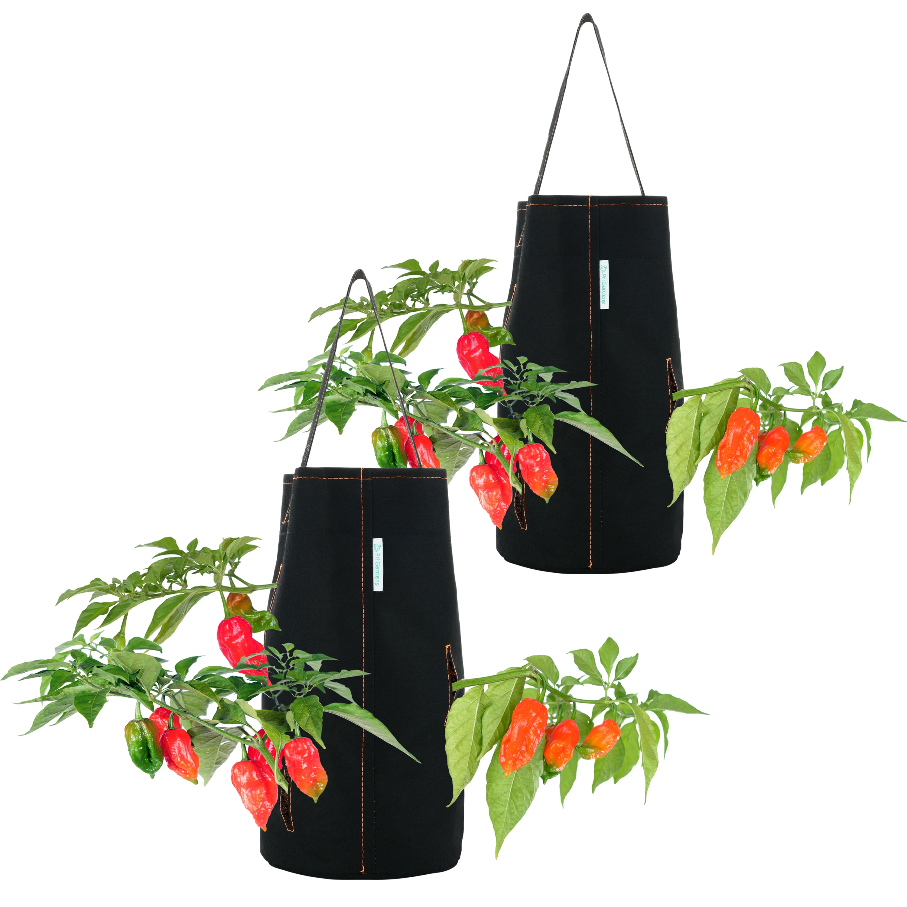 Pri Gardens Hanging Hot Pepper &amp; Strawberry Plant Planter