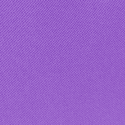 Purple/Black