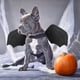 thumbnail image 4 of Disfraz de perro de Halloween y Navidad brillar Electrónica, 4 of 5