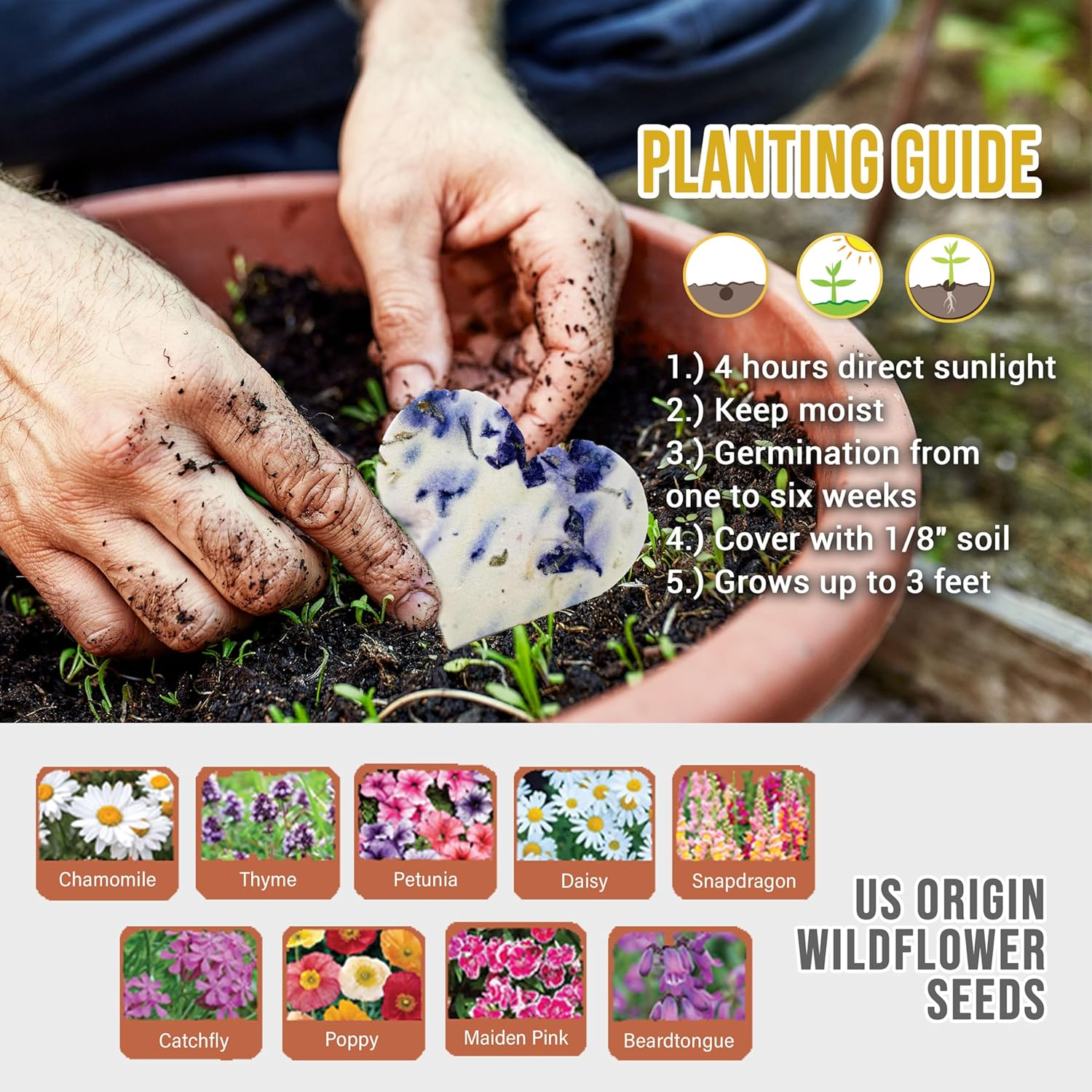 Seed Bloom Set of 24 Purple Heart – Plantable Seed Paper for Bridal Shower, Weddings, and Gifts