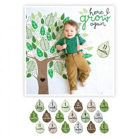 UPC: 0628233455871 | lulujo Milestones Blanket & Cards Set – Here I Grow Again