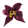 thumbnail image 1 of Crystal Candy Red Tiger Lily Edible Flower Kit, 1 of 2