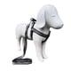 thumbnail image 2 of Arnes con correa para mascota Infanti Pets negro chico, 2 of 5