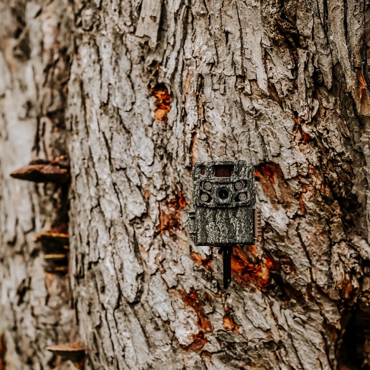 Browning Strike Force 40MP Full HDR Trail Camera