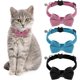 thumbnail image 1 of Collar antiestrangulamiento CHAO para gato ajustable con campana y pajarita 3 colores, 1 of 5