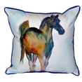 thumbnail image 2 of Betsy Drake ZP877 Colt Indoor & Outdoor Throw Pillow- 22 x 22 in., 2 of 4