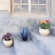 thumbnail image 1 of Xihbxyly Escultura de Planta de Tequila de Hierro, Diseño Único Artesanal, Estilo Agave con Detalles En Azul, Elegante Decoración para Jardín, Uso Interior y Exterior, 35 Cm de Altura, Arte Personali, 1 of 3