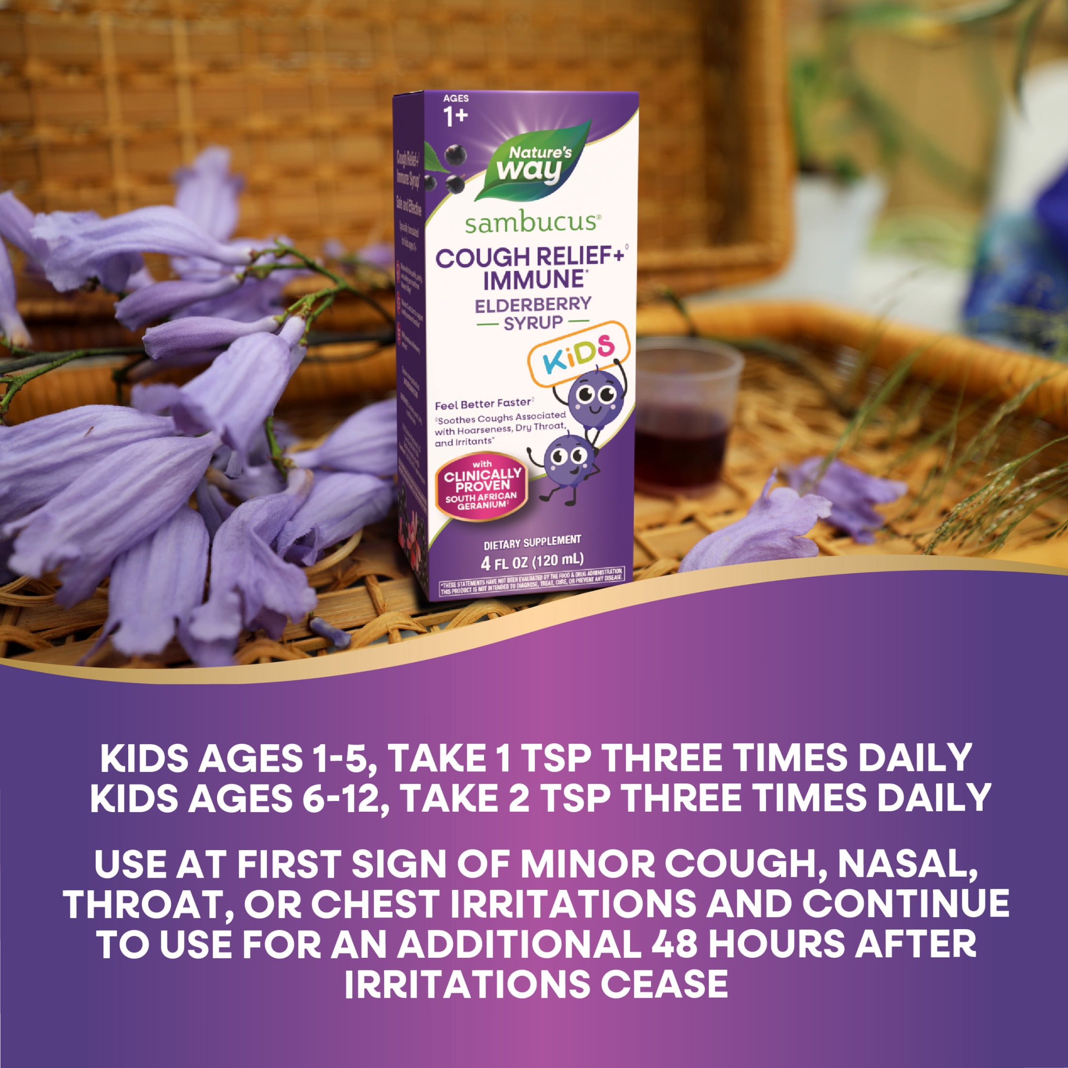 (2 pack) Nature's Way Sambucus Kids Cough Relief + Immune Elderberry Syrup, with Vitamin C & Zinc, 4 fl oz