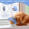 thumbnail image 4 of Collar isabelino suave en forma de cono de gato para recuperación quirúrgica, 4 of 7