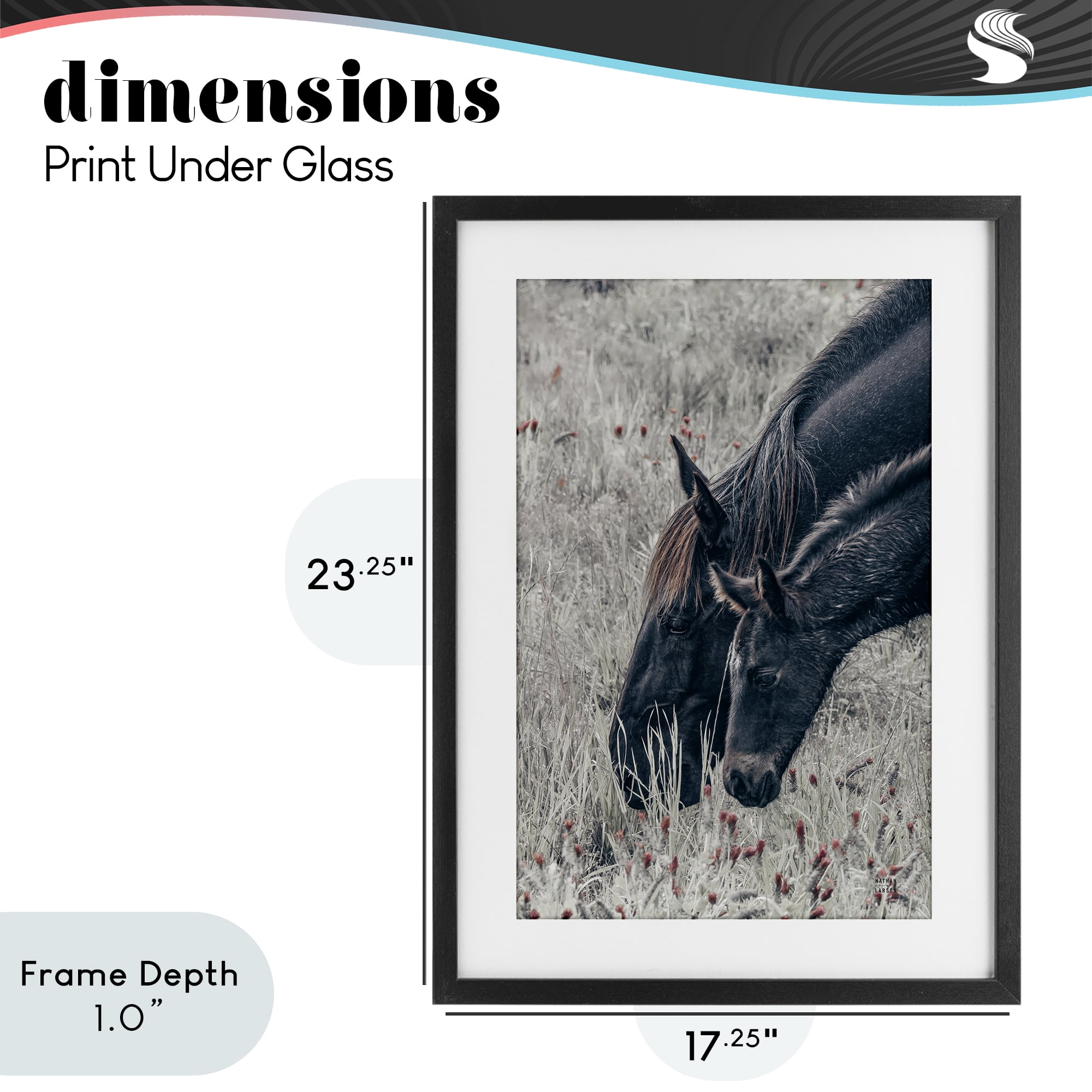 Stupell Industries New Graze Horses in Meadow Black Framed Print Under Glass, design by Nathan Larson