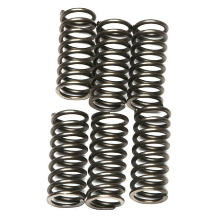 EBC - CSK Series Heavy Duty Clutch Spring Kit