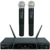 Martin Ranger Vhf Dual Channel Wireless