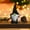 Black, variant on Halloween Gnome Decorations With Witch Hat Doll Plush Elf For Table Decor Party Home White 12.4 Inches