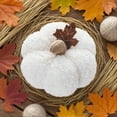 thumbnail image 4 of BNNG Small Rustic Plush Pumpkins Decorative Blush Coral Fabric Foam Pumpkins for Fall Wedding Bbay Shower Thanksgiving Halloween Table Centerpiece Décor, 3.7 inches, 4 of 6