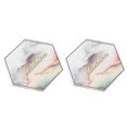 thumbnail image 1 of Nail Art Plate Display Stand Practice Display Nail Polishing Mixing Manicure Painting PlateSexangle, 1 of 5