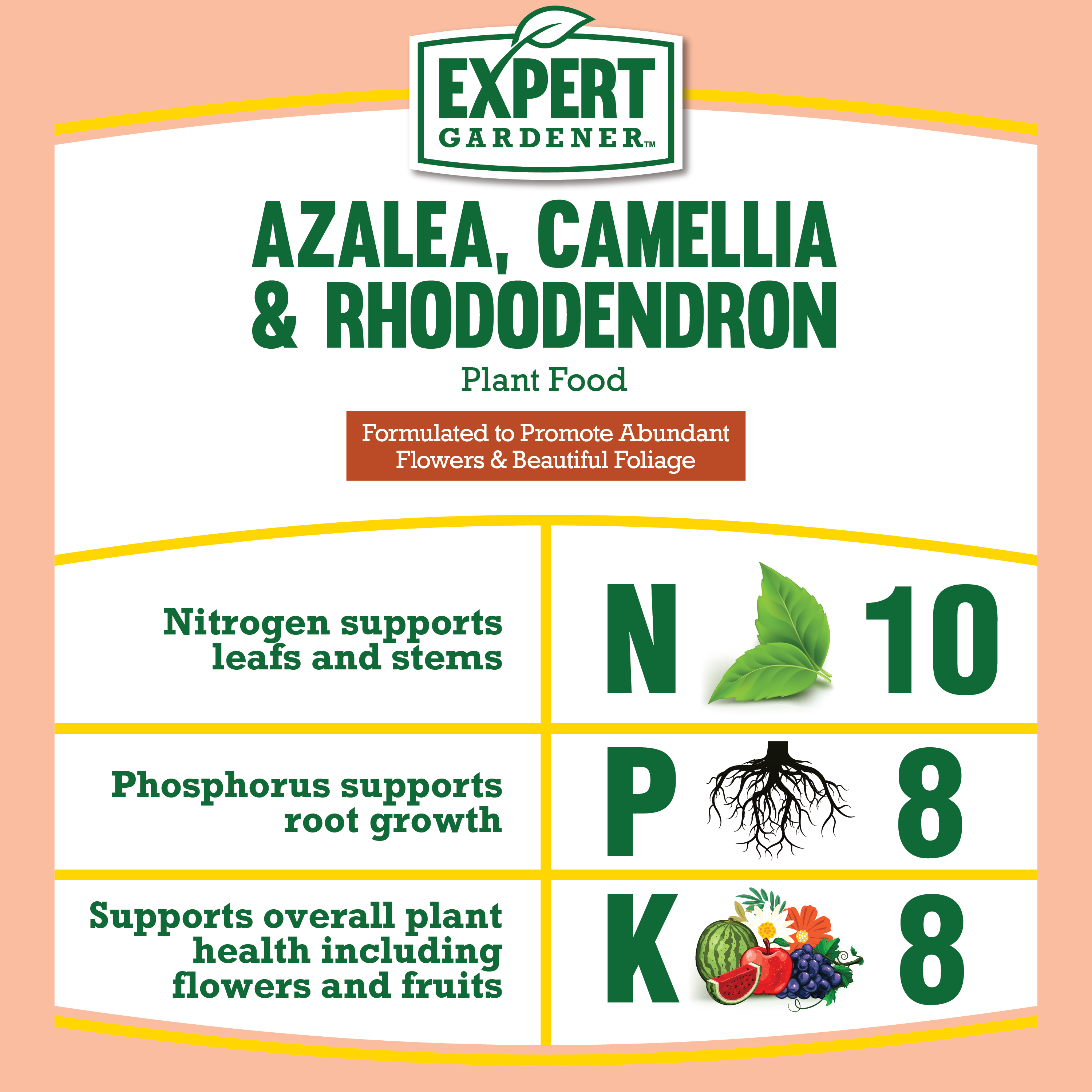 Expert Gardener Azalea, Camellia & Rhododendron Plant Food Fertilizer 10-8-8, 4 lb. - image 5 of 8