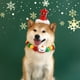thumbnail image 1 of Pet Collar Fabric Christmas Tree Hat Colourful Dog Collar Decoration ChainPet Christmas Tree Ball Collar Dog Toy Embroidery, 1 of 6