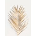 thumbnail image 2 of Design Fabrikken 18x24 Gold Ornate Wood Framed with Double Matting Museum Art Print Titled - Palm Leaf Gold, 2 of 4