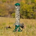 thumbnail image 3 of Perky-Pet Green Squirrel Slammer Wild Bird Tube Feeder - 3.5 lb, 3 of 9