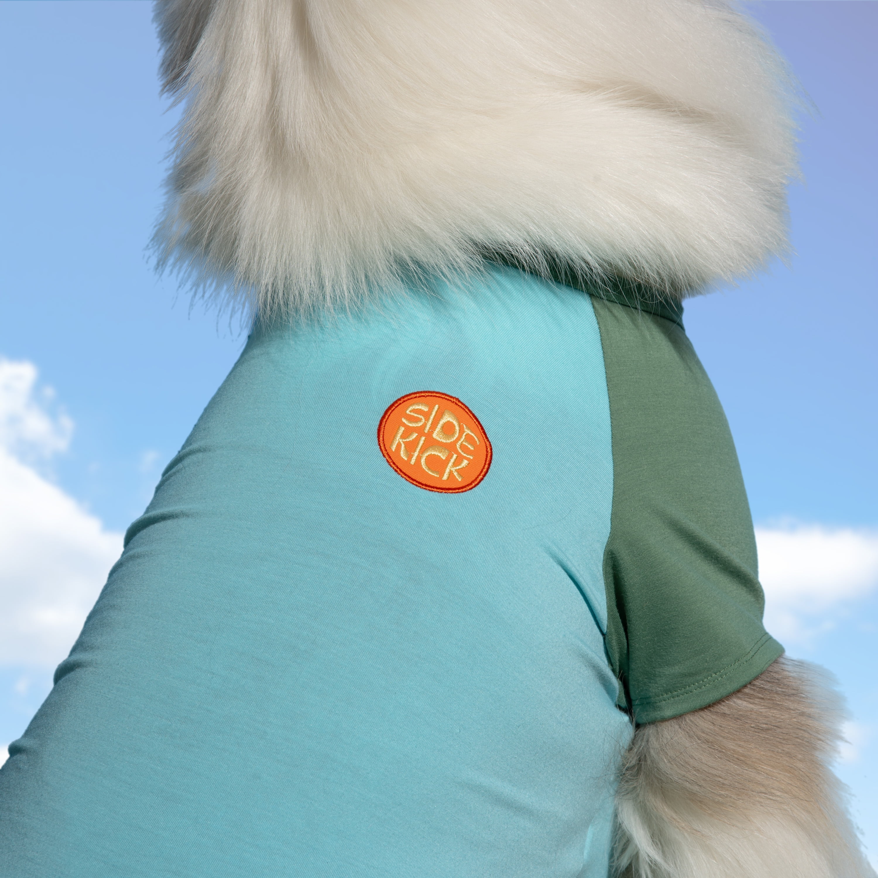 Oodles Green Side Kick Spring Raglan Dog T-Shirt, Medium
