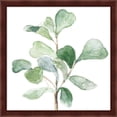 thumbnail image 2 of Great Art Now Fiddle Fig Leaf Plant by Lanie Loreth, 2 Piece Framed Art Set Each 13.25"W x 13.25"H, 2 of 3