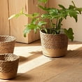 thumbnail image 5 of Bxaolu Plant Basket Modern Woven Storage Basket, Planter Basket Indoor, Flower Pots Cover, Plant Containers, Natural(1-Pack,S), Brown, 5 of 7