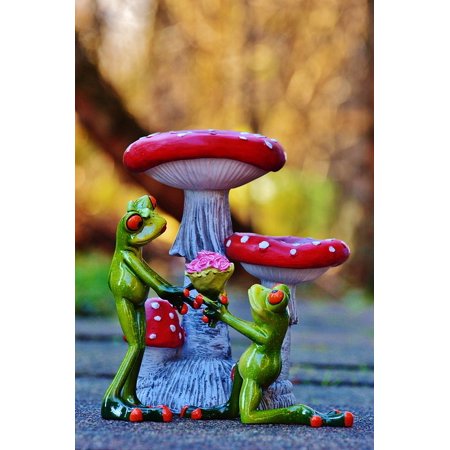 Lucky Love Frog (Peel-n-Stick Poster of Frog Heart Love Marriage Proposal Lucky Guy Pair Poster 24x16 Adhesive Sticker Poster)