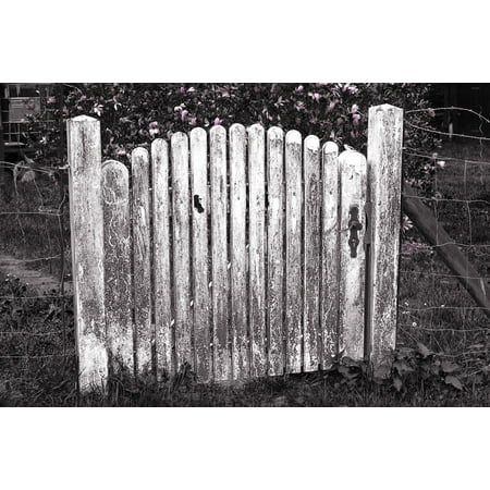 Garden Door Garden Fence Door Fence Wooden Door Poster Print 24 X