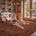 thumbnail image 3 of Rugs for Living Room 5x8, Alfombras para Salas Shag Large Plush Soft Area Rug, Shaggy Carpets for Bedroom, Kids Boys Girls Home Decor Aesthetic(Coffee, 5 x 8), 3 of 14