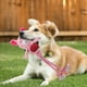 thumbnail image 3 of Juguetes para perros que les gusta masticar Juguetes para mascotas Squeaky Frog Rope Toys Juguetes trenzados para perros pequeños y medianos, 3 of 6
