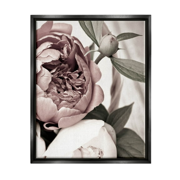 Blooming Peony Flower Buds Botanical & Floral Photograph Jet Black Framed Art Print Wall Art