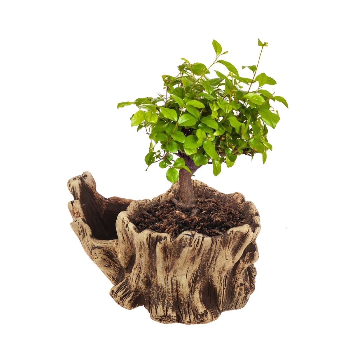 FUTUREORYY Decorative Flower Planter Pot Cement Yellow 1Pcs for Gardening Props