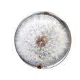 thumbnail image 1 of Dandelion Resin Paperweight, Crystal Ball Decor, K9 Optical Crystal, 3D Inner Laser Engraved, Versatile Office Desk Ornament for Home, Office, 26-27s, 1 of 5