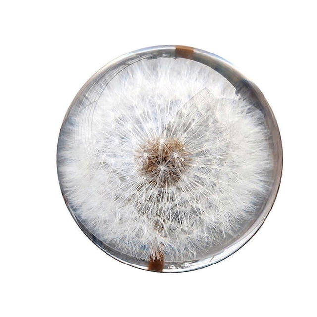 Dandelion Resin Paperweight, Crystal Ball Decor, K9 Optical Crystal, 3D Inner Laser Engraved, Versatile Office Desk Ornament for Home, Office, 26-27s