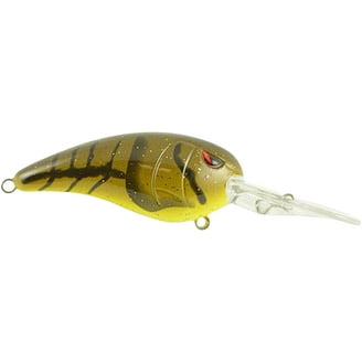 can you fish at lake lure Lake Lure Fishing Excursions
