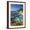 Brown Frame, variant on Art.com Vertical Big Sur Coastline California Photographic Print by Sheila Haddad, 16" x 24"