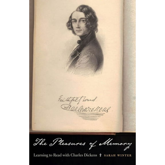 The Pleasures of Memory (Paperback)