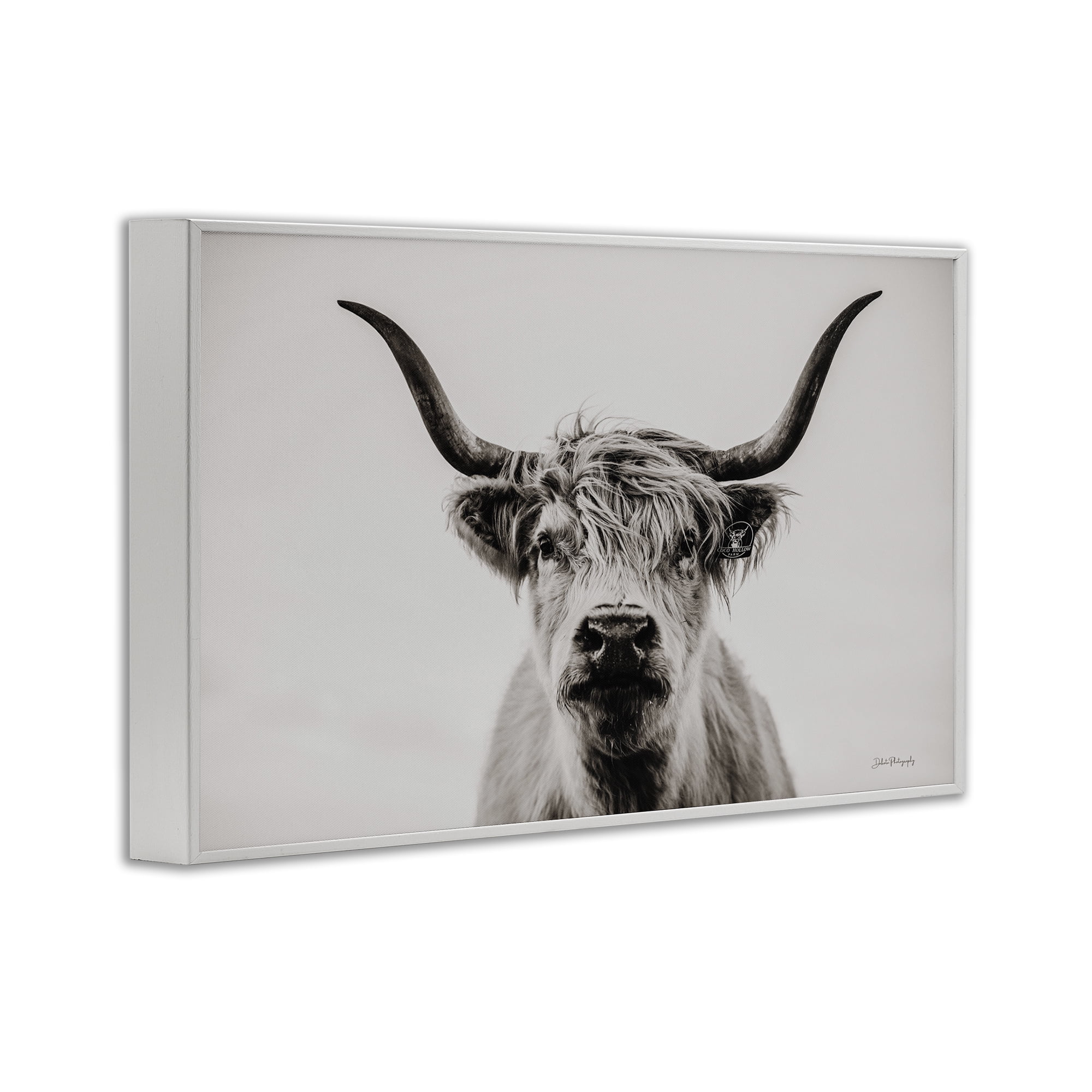 Stupell Industries Calm Cattle Portrait Animals & Insects Photography White Framed Art Print Wall Art, 30 x 20