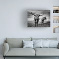 thumbnail image 2 of Trademark Fine Art Stephane Pecqueux I Am The Boss Canvas Wall Art, 2 of 4
